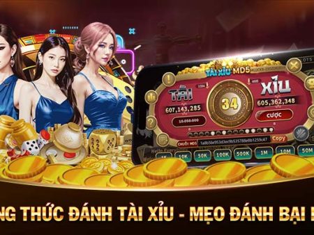 X8-Casino trực tuyến – Nơi cơ hội và giải trí!