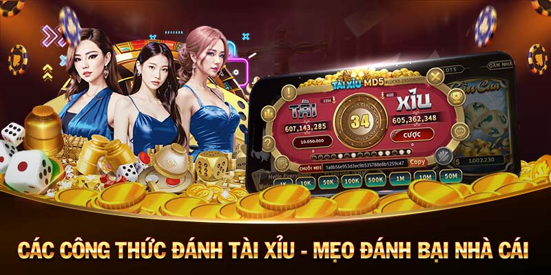 X8-Casino trực tuyến - Nơi cơ hội và giải trí!